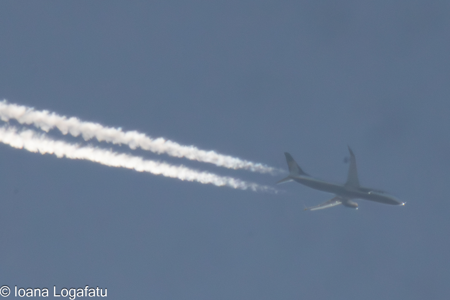 Majestic airplane gliding through the clear sky